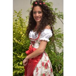 Dirndl Set Trachtenkleid 484GT Rot geblümt