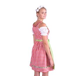 Dirndl Set Trachtenkleid 480GT Rot Weiß kariert