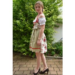 Dirndl Set Trachtenkleid Y484GT rot grün geblümt